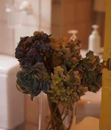 Apartmán Quinta Arenlllas Palacete En Privada De 7 Hectareas De Pinar Navalperal de Pinares