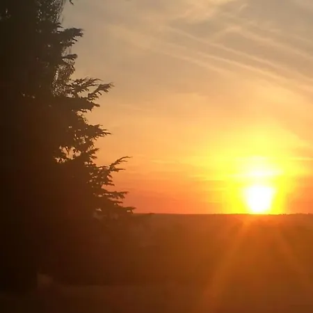 Quinta Arenlllas Palacete En Privada De 7 Hectareas De Pinar Apartmán