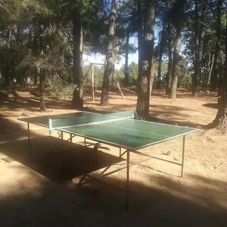 Quinta Arenlllas Palacete En Privada De 7 Hectareas De Pinar Apartmán *