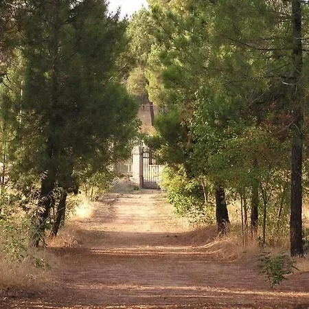 Quinta Arenlllas Palacete En Privada De 7 Hectareas De Pinar *