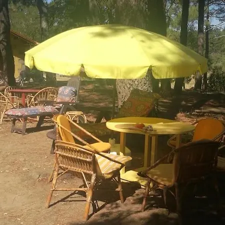 Quinta Arenlllas Palacete En Privada De 7 Hectareas De Pinar