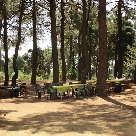 Apartmán Quinta Arenlllas Palacete En Privada De 7 Hectareas De Pinar Navalperal de Pinares