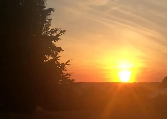 Quinta Arenlllas Palacete En Privada De 7 Hectareas De Pinar شقة