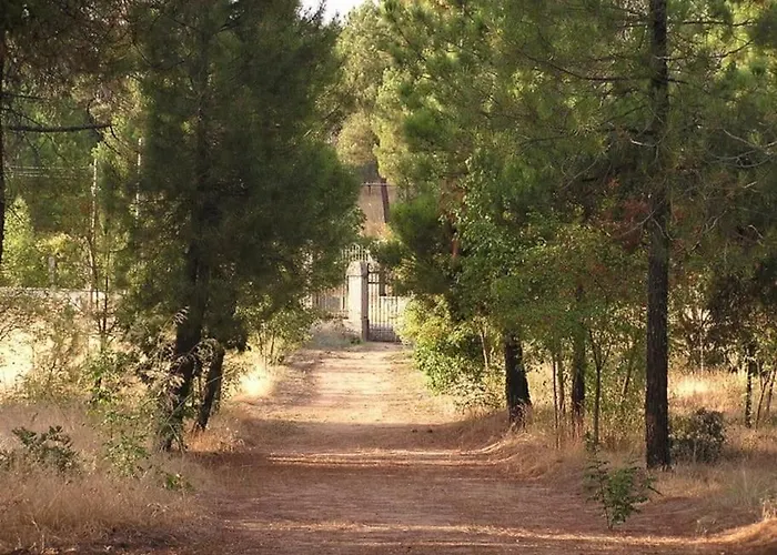 Quinta Arenlllas Palacete En Privada De 7 Hectáreas De Pinar *