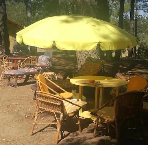 Quinta Arenlllas Palacete En Privada De 7 Hectáreas De Pinar