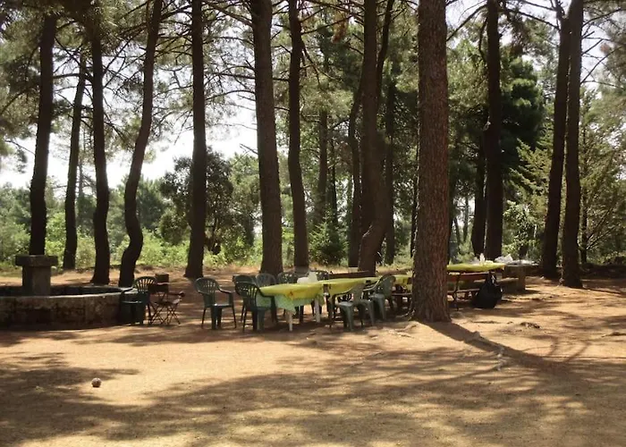 شقة Quinta Arenlllas Palacete En Privada De 7 Hectareas De Pinar Navalperal de Pinares